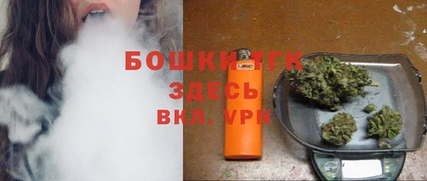 шишки Вязьма