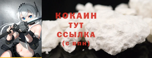 шишки Вязьма