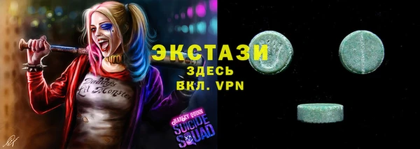 apvp Вяземский