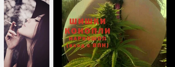 шишки Вязьма